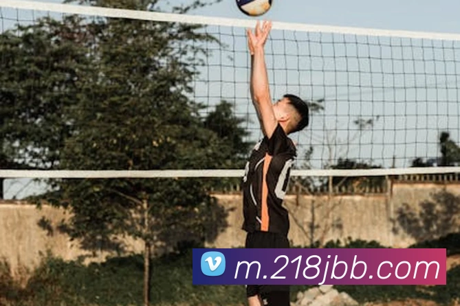 多媒体互动体验